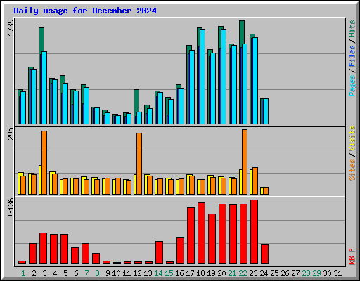 Daily usage for December 2024