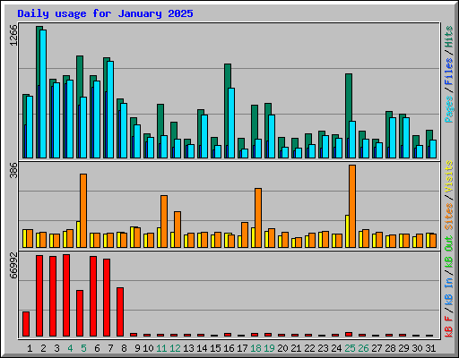 Daily usage for January 2025