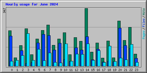 Hourly usage for June 2024