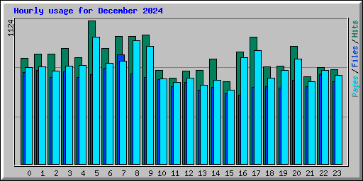 Hourly usage for December 2024