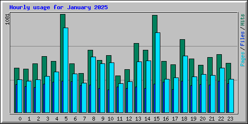 Hourly usage for January 2025