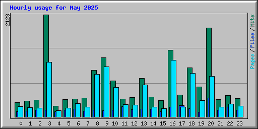 Hourly usage for May 2025