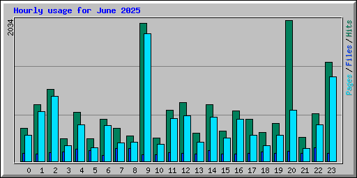 Hourly usage for June 2025