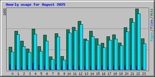 Hourly usage for August 2025