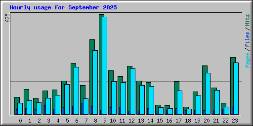 Hourly usage for September 2025