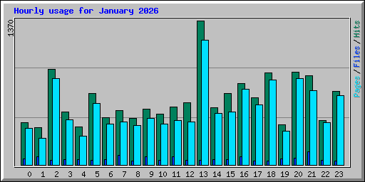 Hourly usage for January 2026