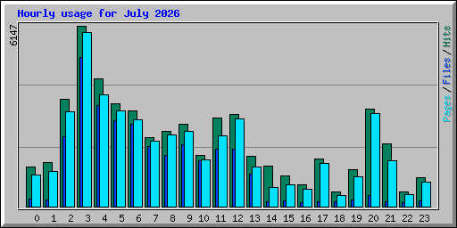 Hourly usage for July 2026