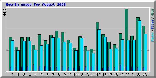 Hourly usage for August 2026