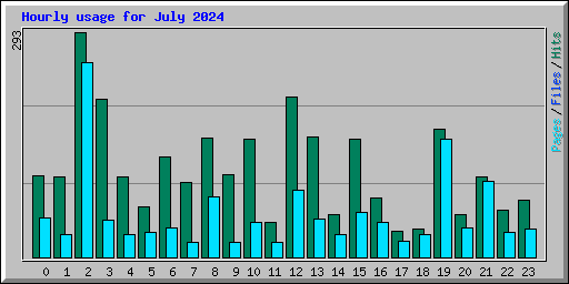 Hourly usage for July 2024