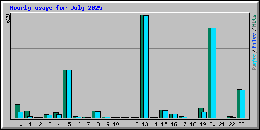 Hourly usage for July 2025