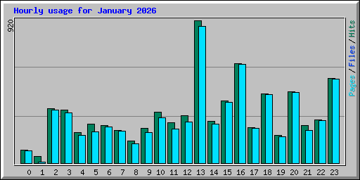 Hourly usage for January 2026
