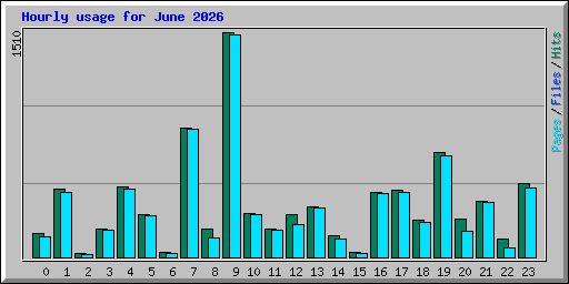 Hourly usage for June 2026