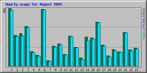 Hourly usage for August 2026